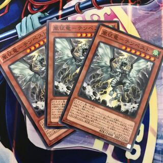 嵐征竜-テンペスト