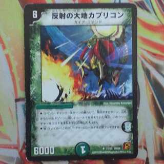 反射の大地カプリコン