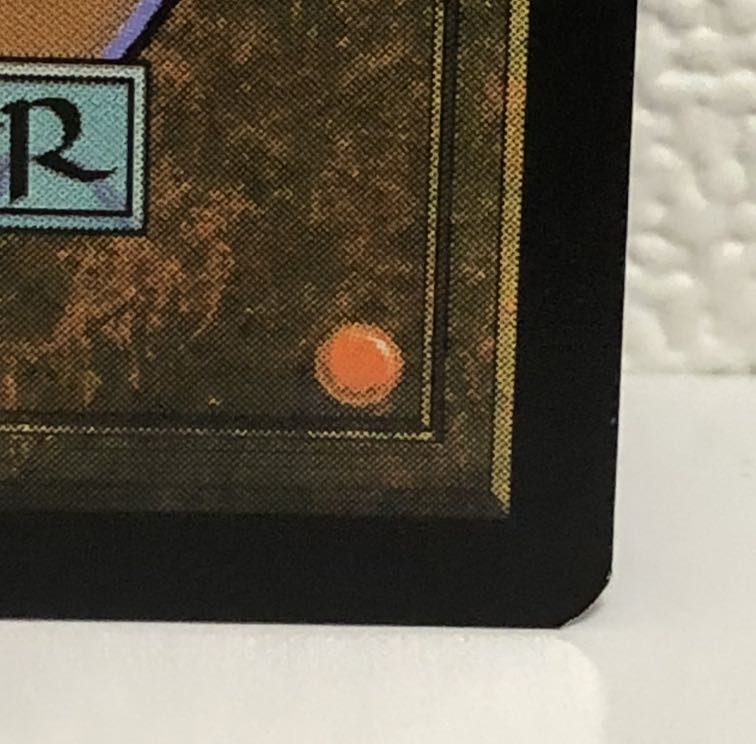 黄色いあひる様専用 創造の座、オムナス ショーケース foil