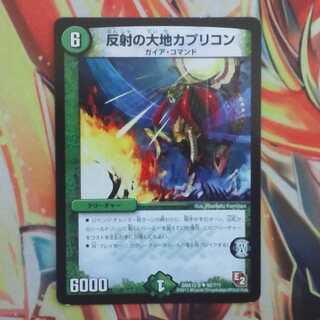 反射の大地カプリコン