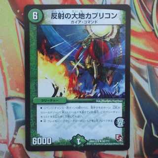 反射の大地カプリコン