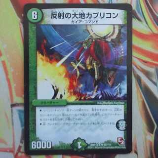 反射の大地カプリコン