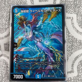 海姫龍 ライベルモット・ビターズ　