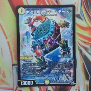 大迷宮亀 ワンダー・タートル 1枚