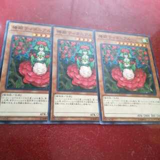 椿姫ティタニアル