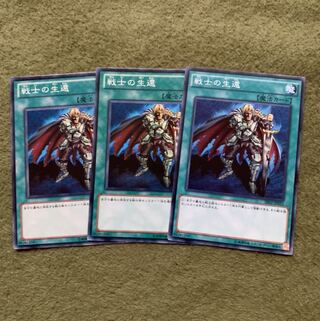 戦士の生還 ノーマル3枚