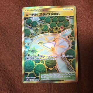 Pokéka Aether Paradise Conservation Area UR