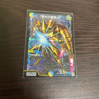 「雷光の聖騎士」