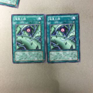 憎悪の棘　２枚