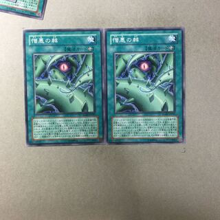 憎悪の棘　２枚