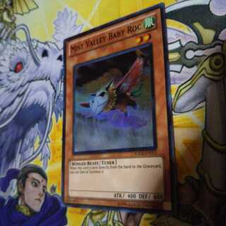 値下げ！霞の谷の幼怪鳥