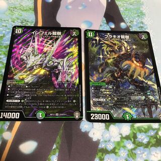 ブラキオ龍樹＆インフェル龍樹