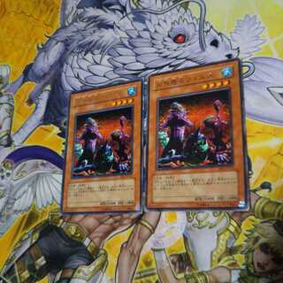 同族感染ウィルス レア