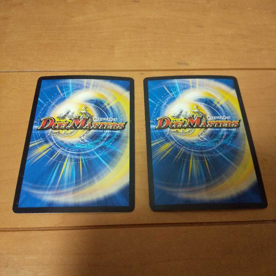 歴戦の精霊龍 カイザルバーラ