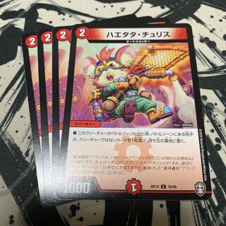 ハエタタ・チュリス