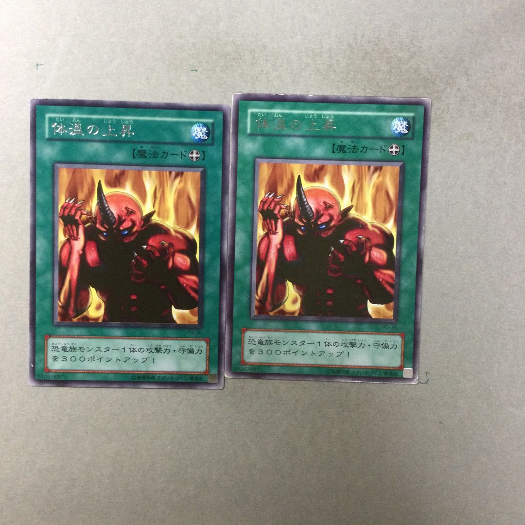 体温の上昇　２枚