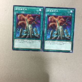 Predapruning 2 sheets