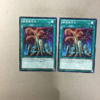 Predapruning 2 sheets