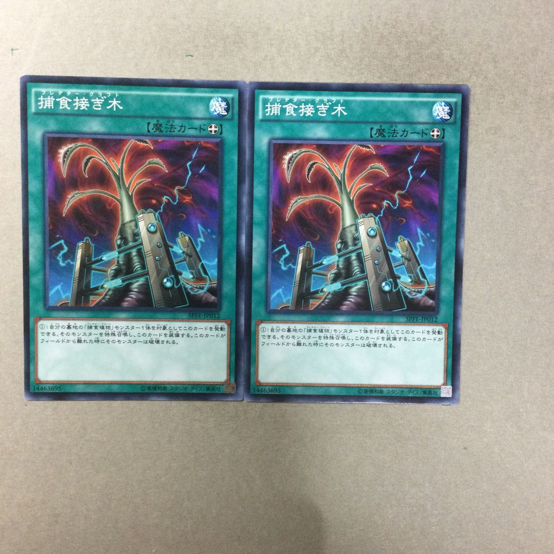 捕食接ぎ木　２枚