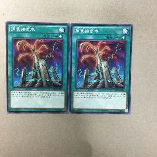 捕食接ぎ木　２枚