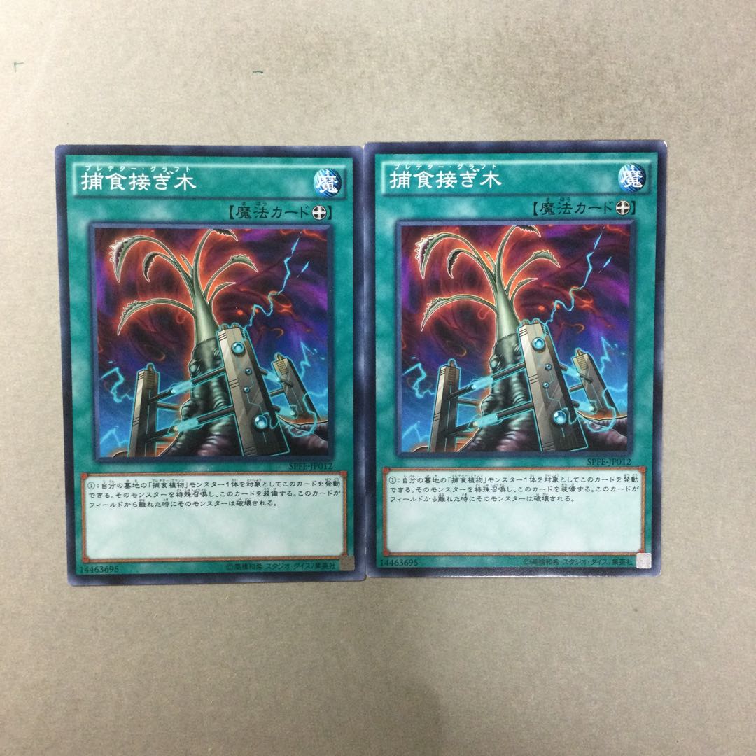 捕食接ぎ木　２枚