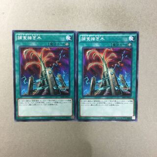 捕食接ぎ木　２枚