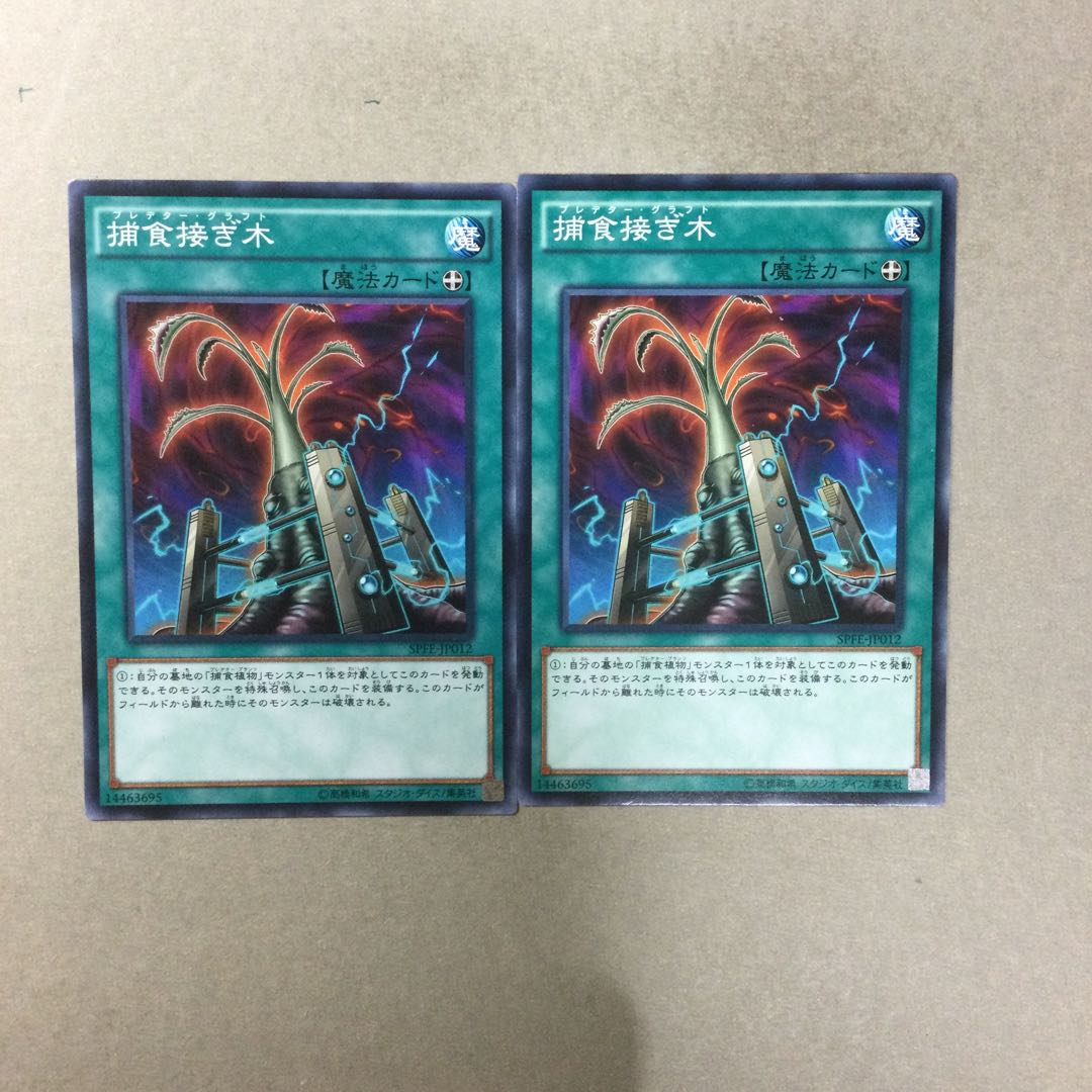 捕食接ぎ木　２枚