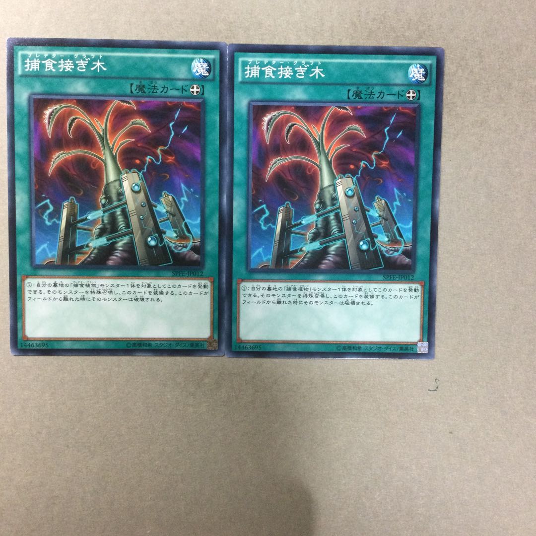 捕食接ぎ木　２枚