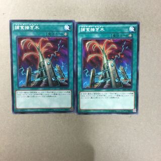 捕食接ぎ木　２枚