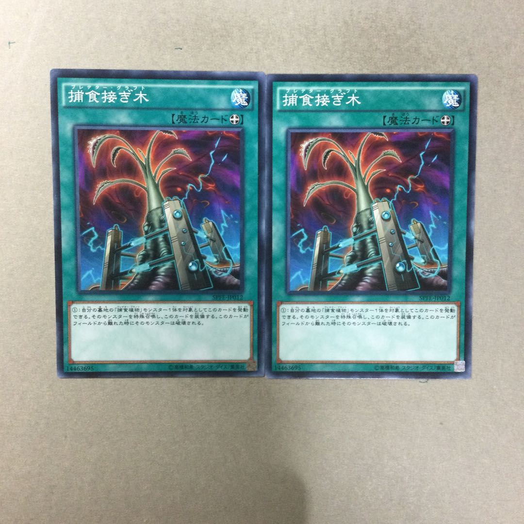 Predapruning 2 pieces