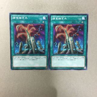 Predapruning 2 pieces