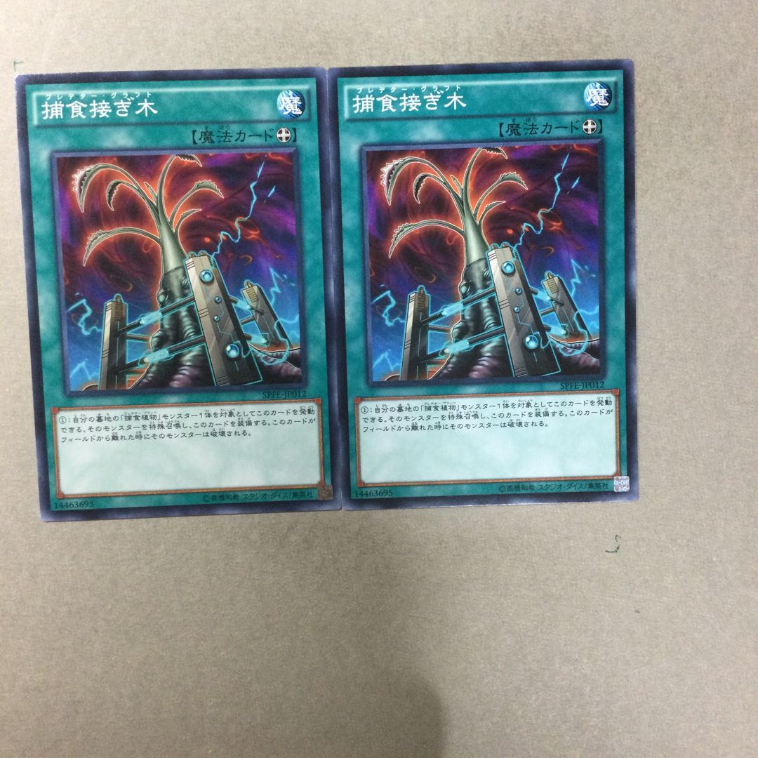 Predapruning 2 pieces