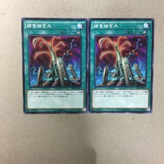 捕食接ぎ木　２枚