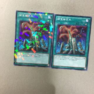 捕食接ぎ木　２枚