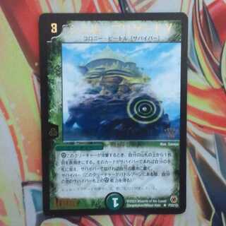 シェル・ブリゲードγ