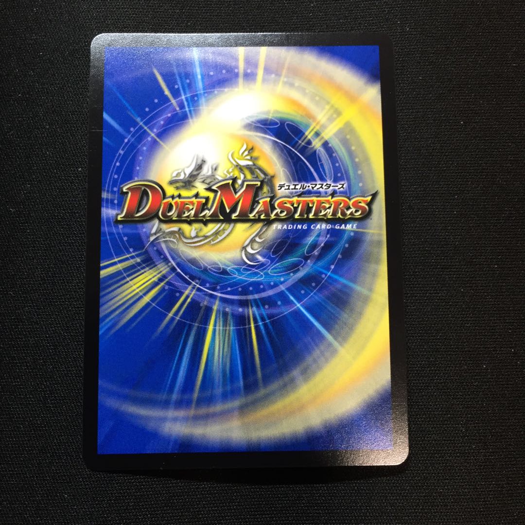 「絶対の楯騎士」