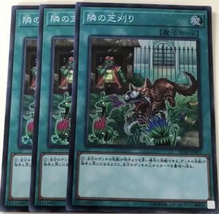 隣の芝刈り スーパーレア　3枚