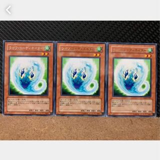 【ぽぽたん】遊戯王 5171 ライフ・コーディネイター 3枚 レア