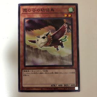 遊戯王　霞の谷の幼怪鳥 ノーマルレア