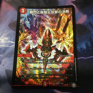 瞬閃と疾駆と双撃の決断