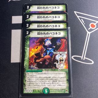 囚われのパコネコ