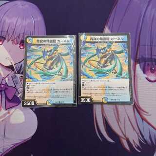 青寂の精霊龍カーネル×2