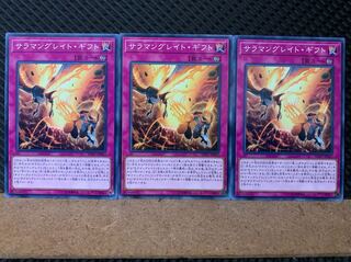 Popotan] Yu-Gi-Oh! 6733 Salamangreat Gift 3 cards, normal