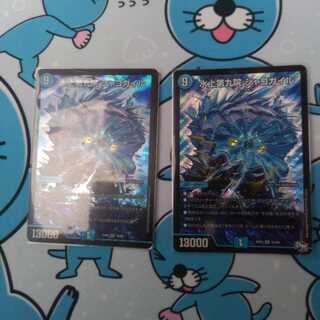 水上第九院 シャコガイル