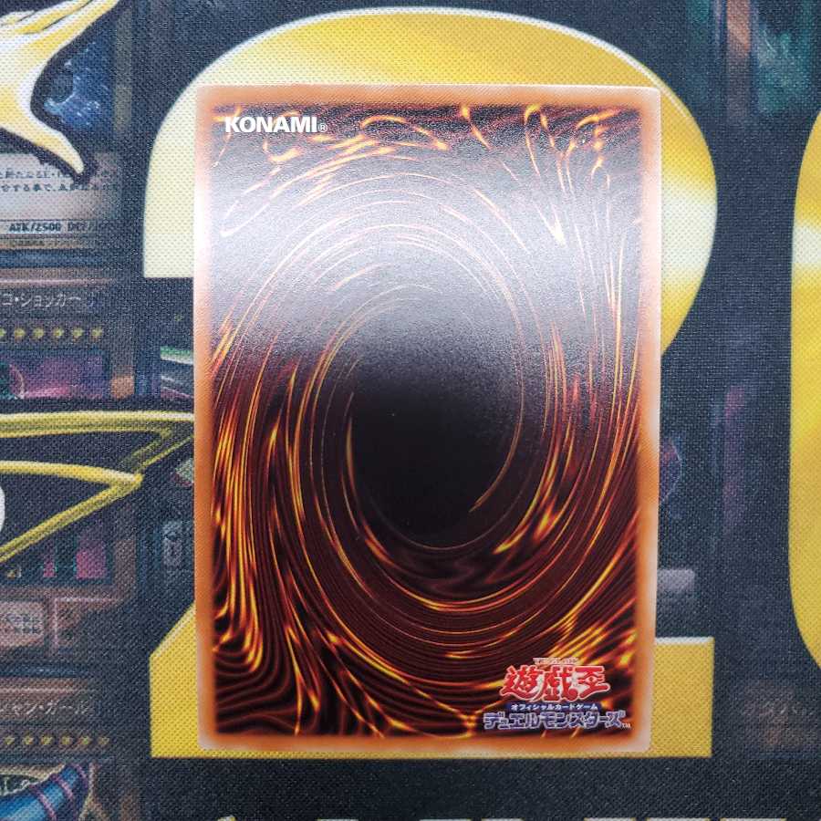 竜騎士ブラック・マジシャン・ガール(新規イラスト) シークレットレア