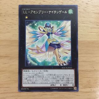 LL-アセンブリー・ナイチンゲール