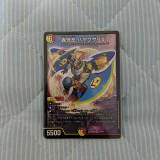 ハヤブサリュウ