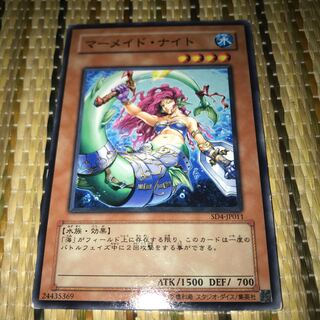 マドレース マーメイド・ナイト ノーマル