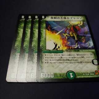 専用 反射の大地カプリコン レッコパブロウ