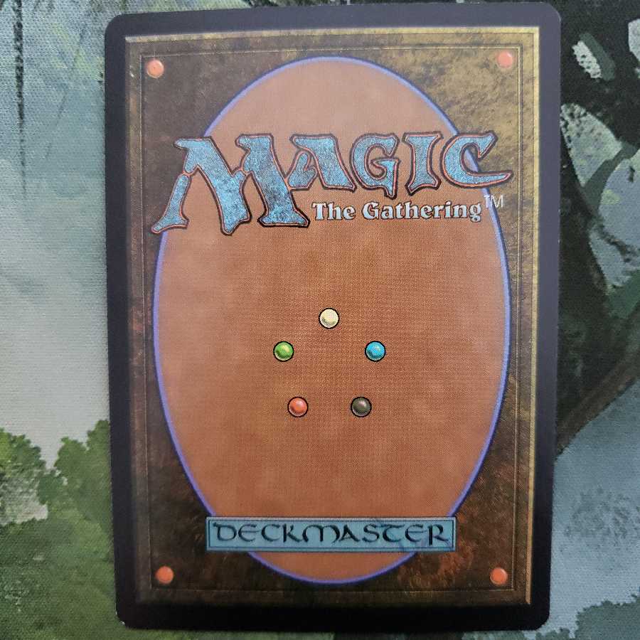 トロウケアの敷石【英語】【TSP】